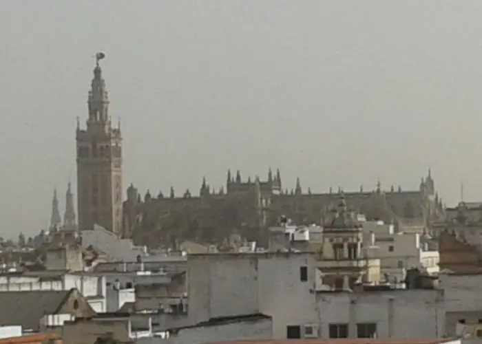 Apartamento Calle Goles