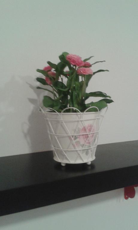 Calle Goles Appartement *